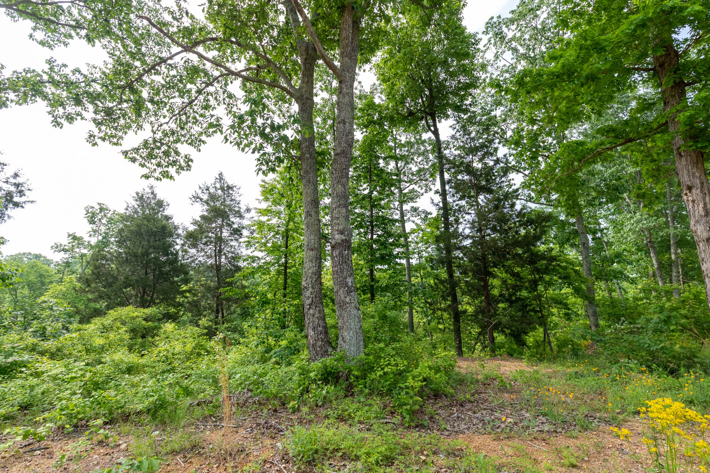 Tract 1 at Cedar Creek in Perry County, Tennessee