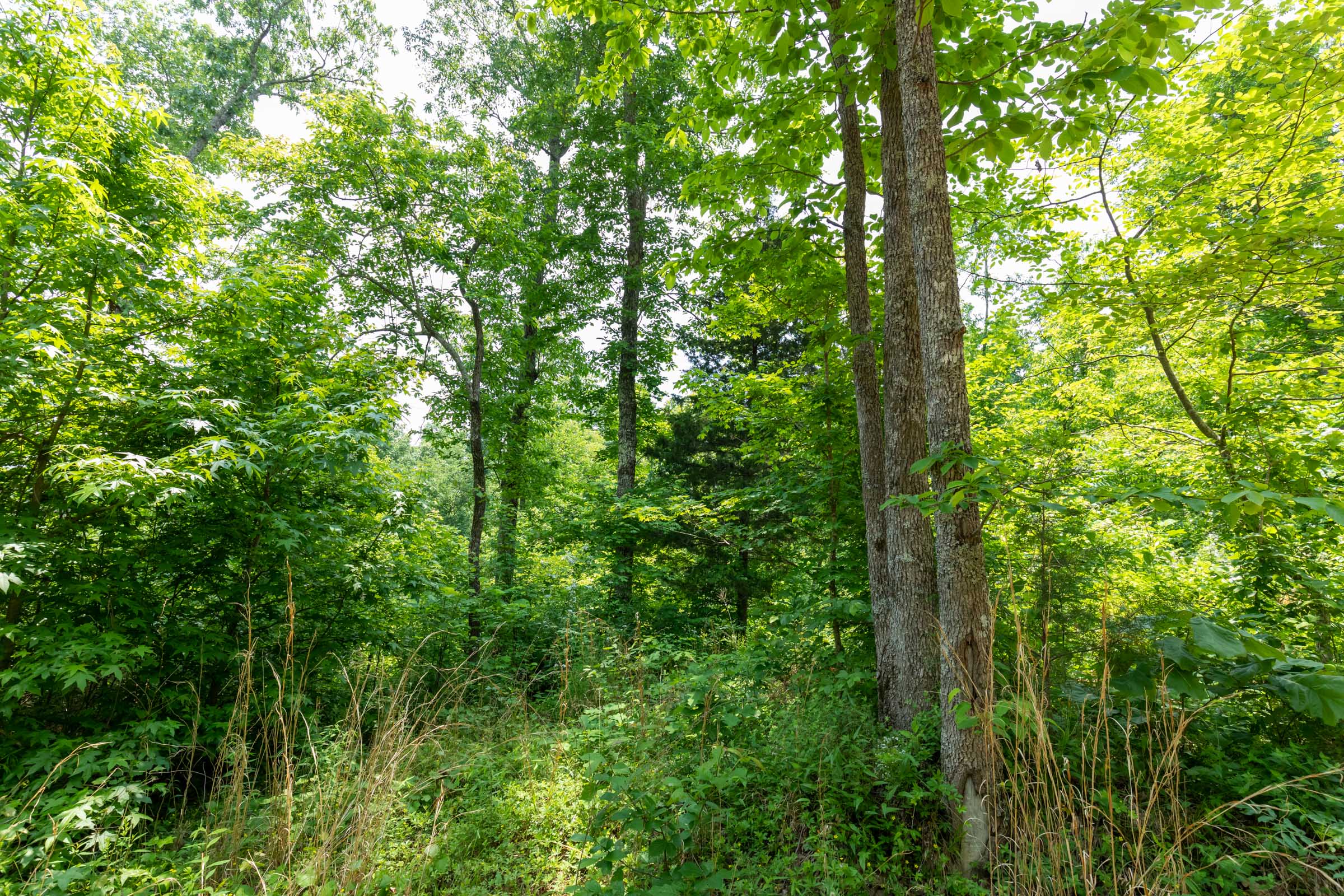 Tract 14 at Cedar Creek in Perry County, Tennessee