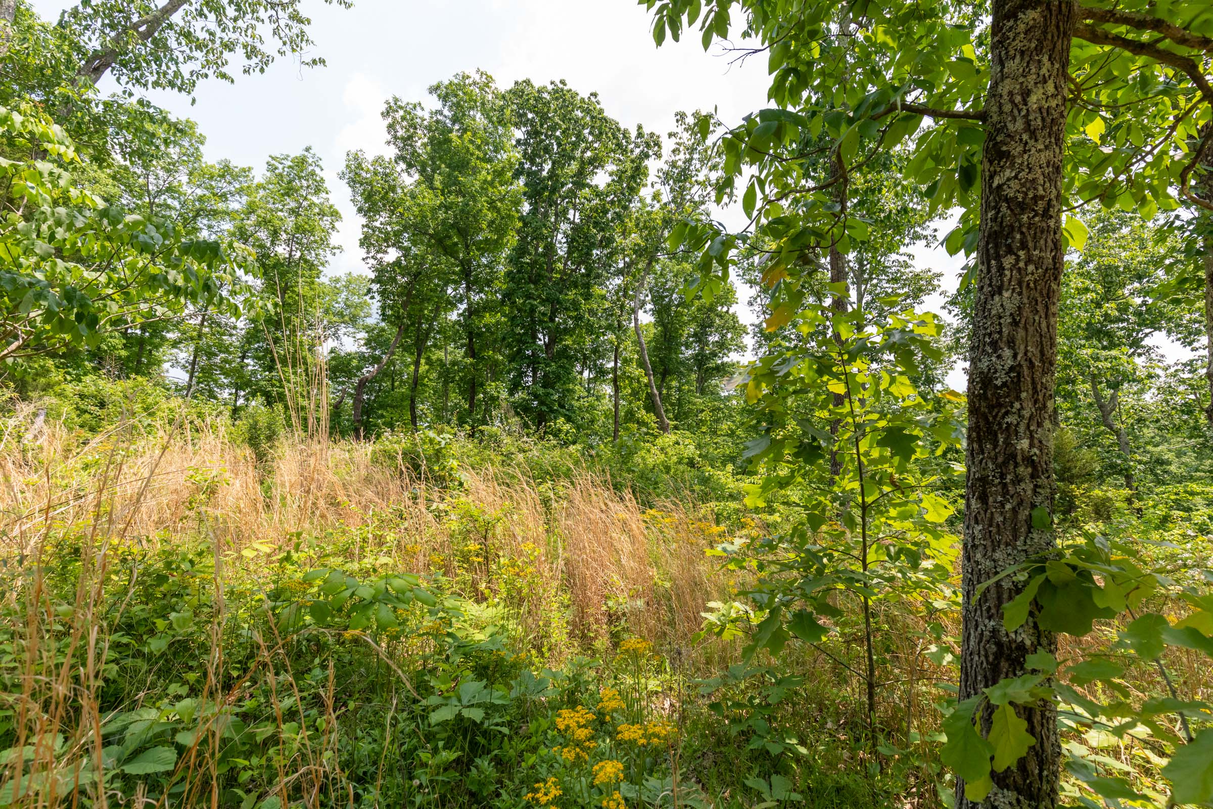 Tract 18 at Cedar Creek in Perry County, Tennessee