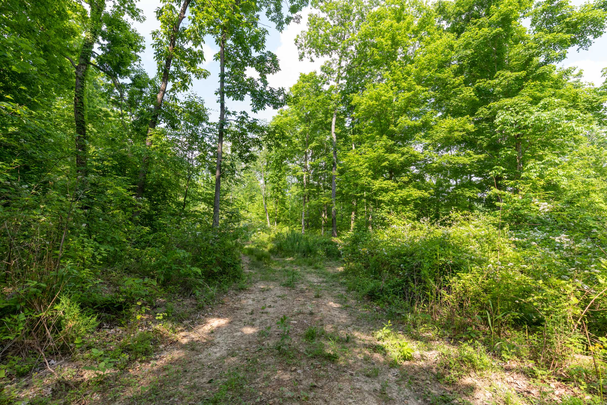 Tract 23 at Cedar Creek in Perry County, Tennessee