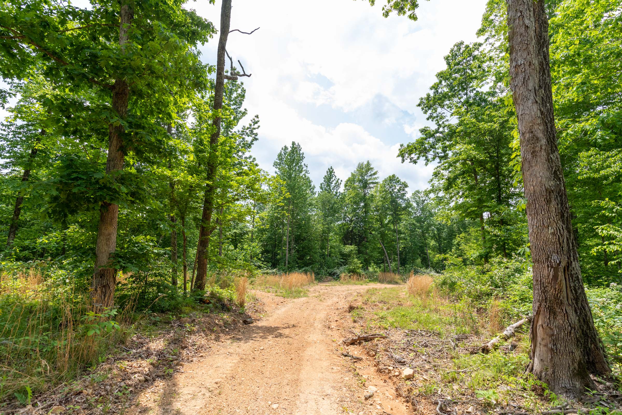 Tract 27 at Cedar Creek in Perry County, Tennessee