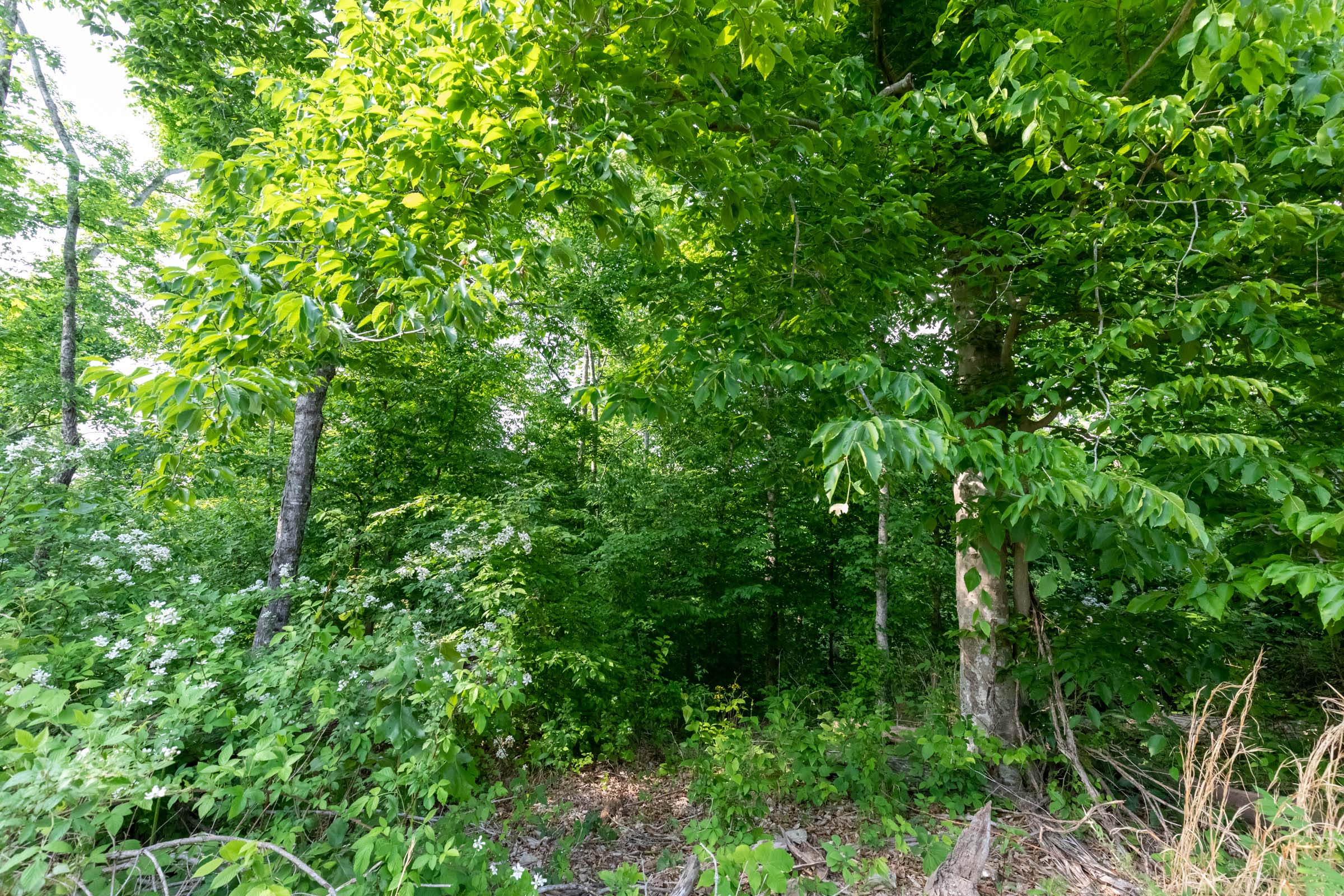 Tract 28 at Cedar Creek in Perry County, Tennessee