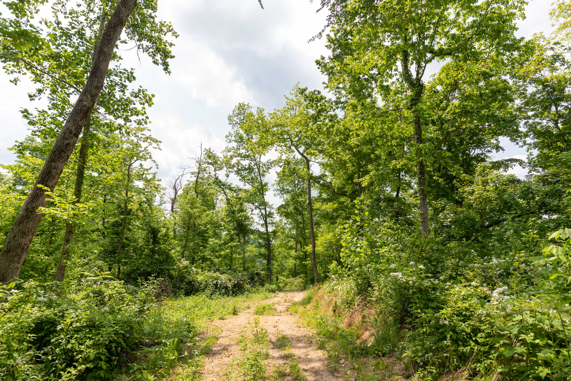 Tract 30 at Cedar Creek in Perry County, Tennessee