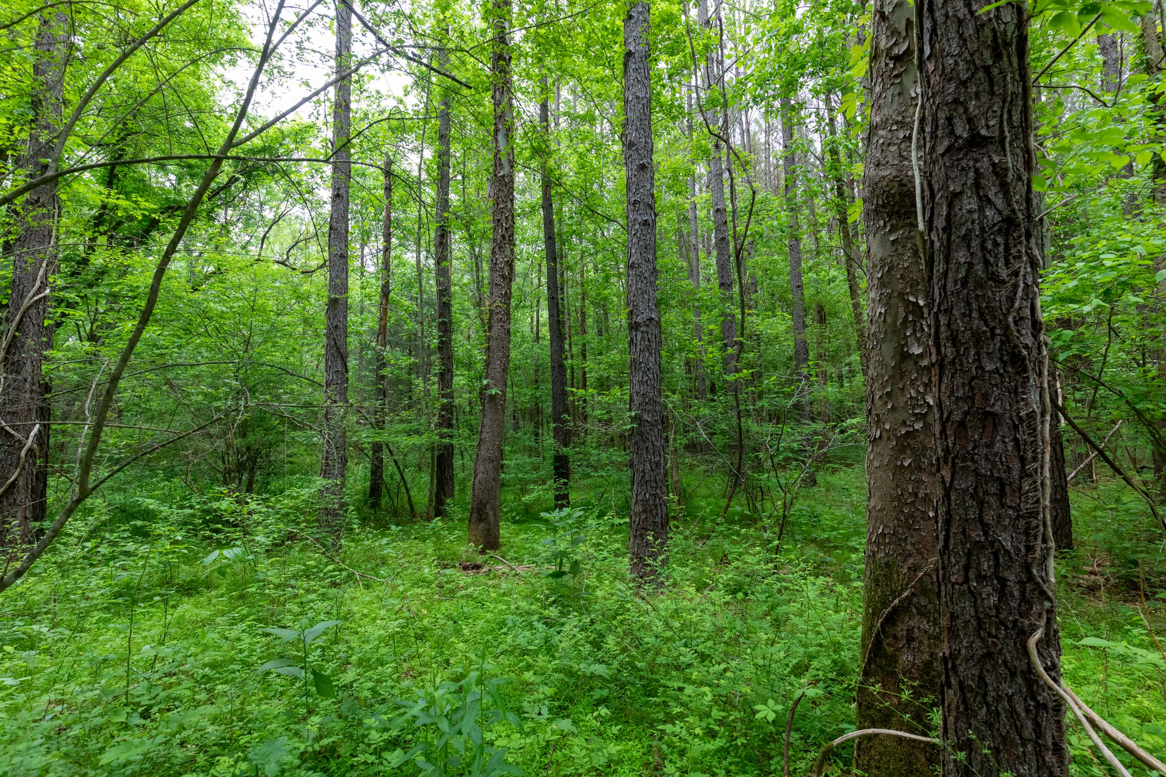 Tract 33 at Cedar Creek in Perry County, Tennessee
