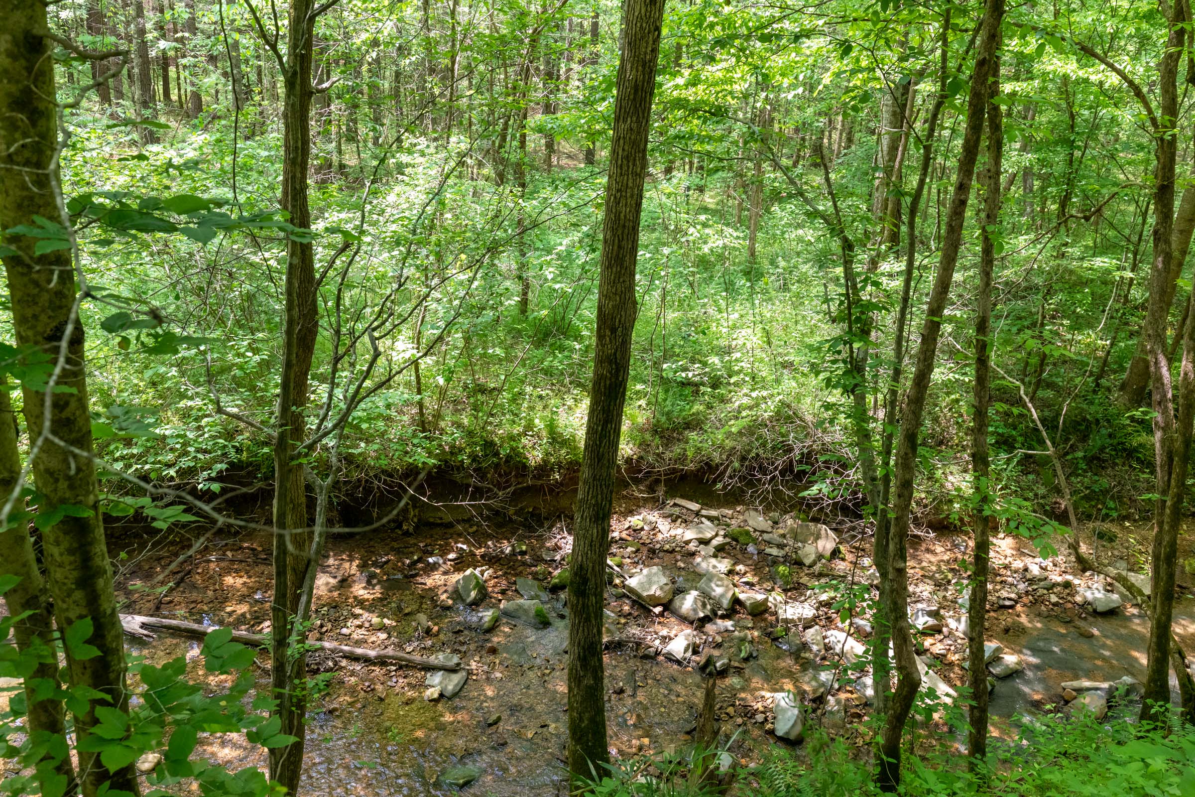 Tract 37 at Cedar Creek in Perry County, Tennessee