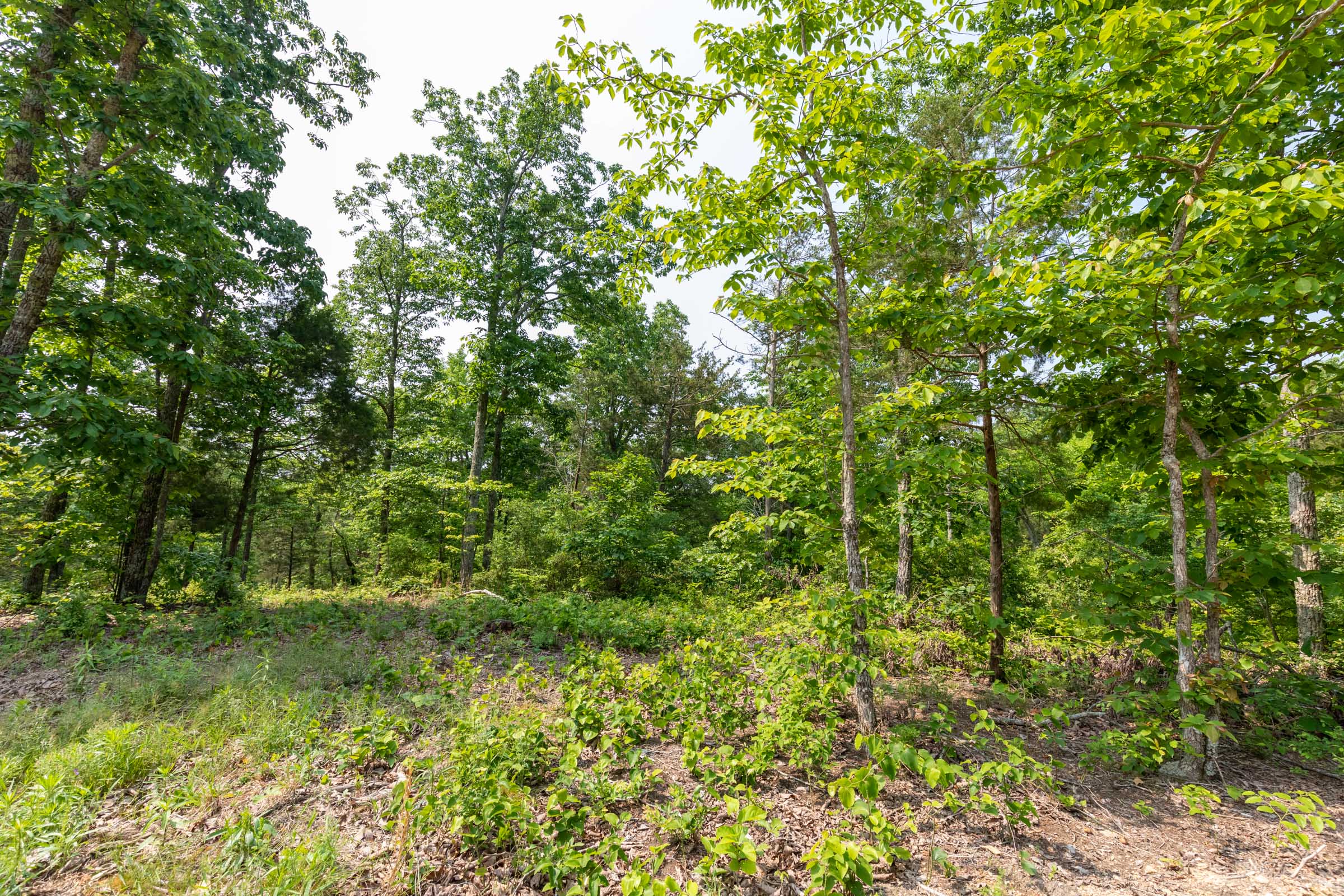 Tract 4 at Cedar Creek in Perry County, Tennessee