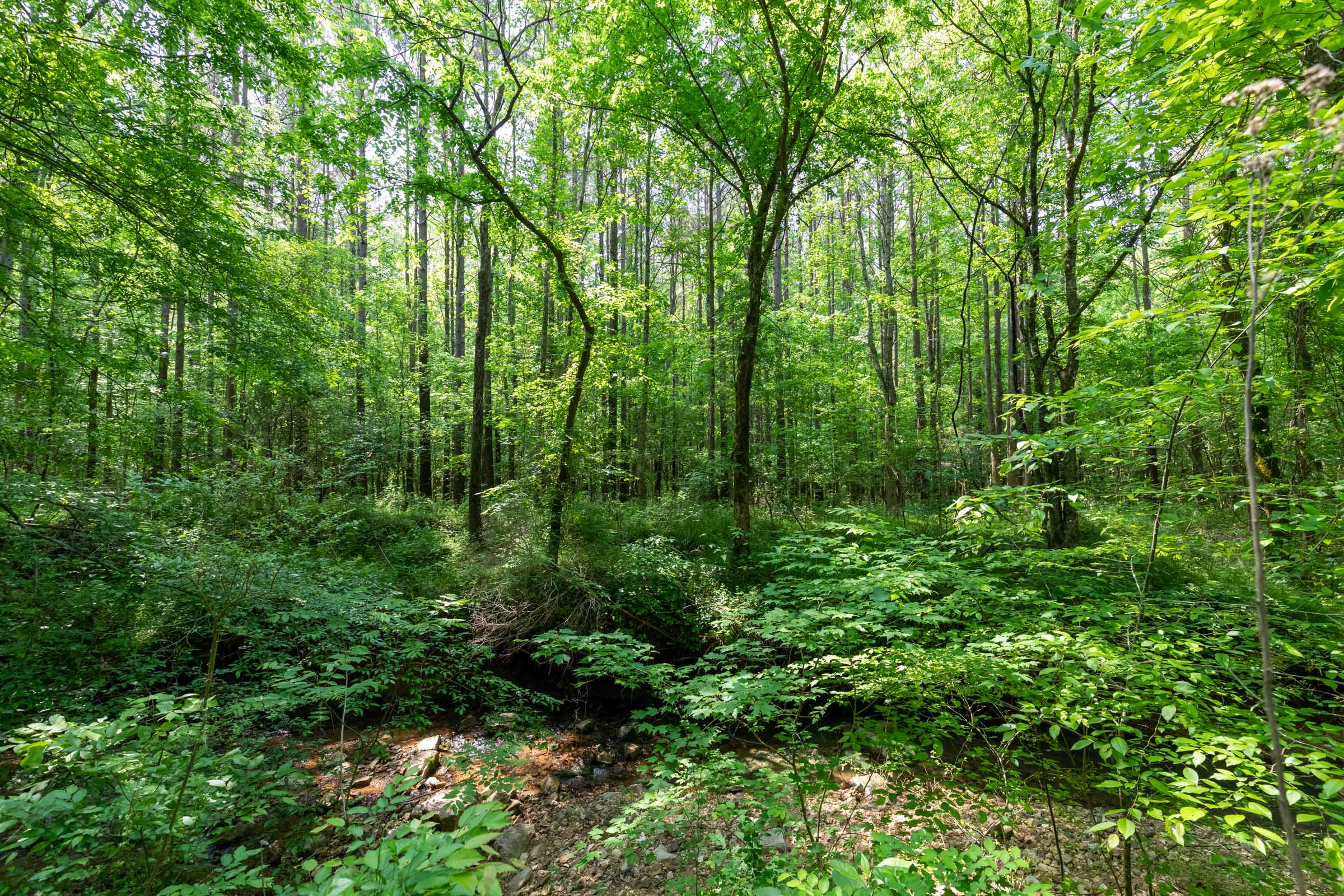 Tract 40 at Cedar Creek in Perry County, Tennessee