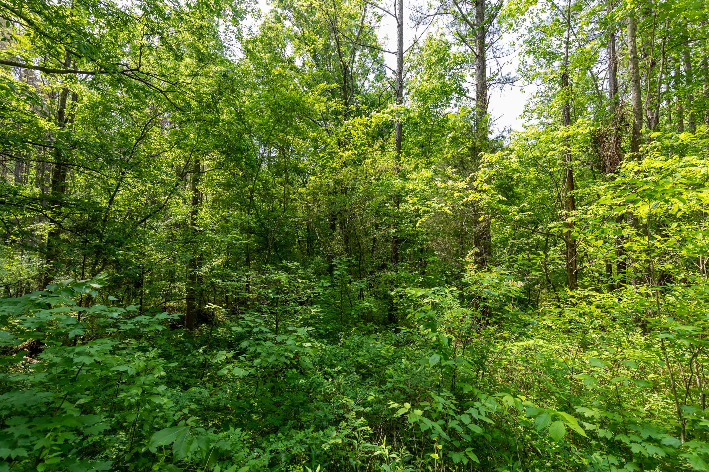 Tract 42 at Cedar Creek in Perry County, Tennessee