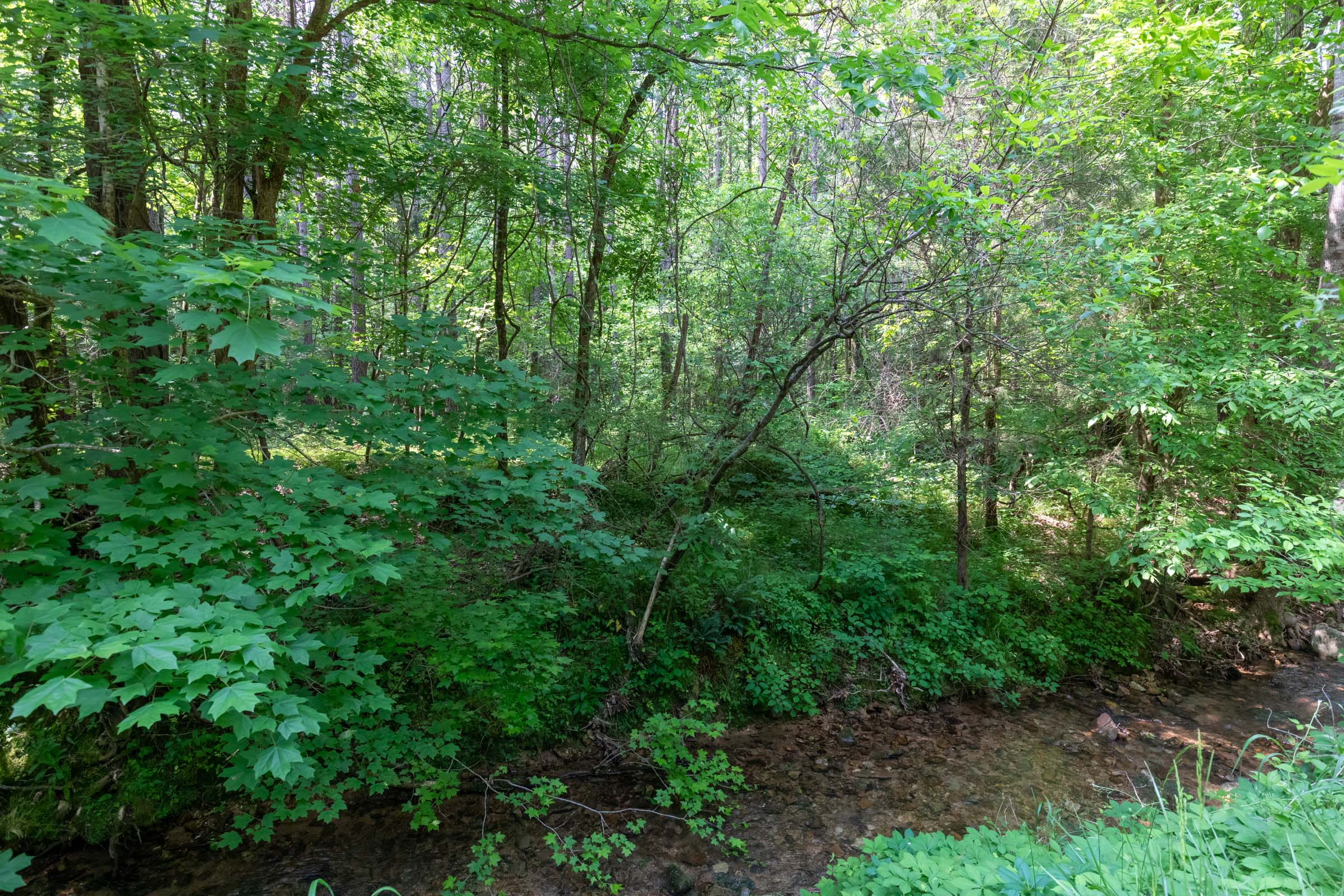 Tract 45 at Cedar Creek in Perry County, Tennessee