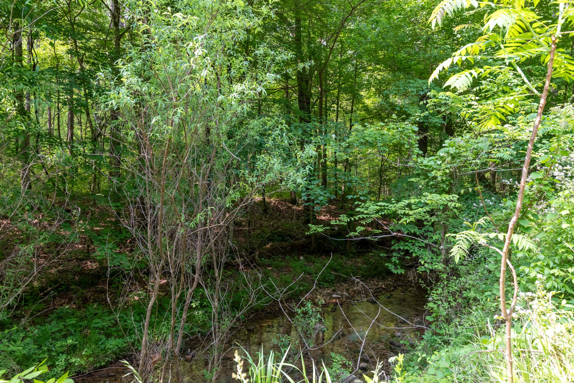 Tract 46 at Cedar Creek in Perry County, Tennessee