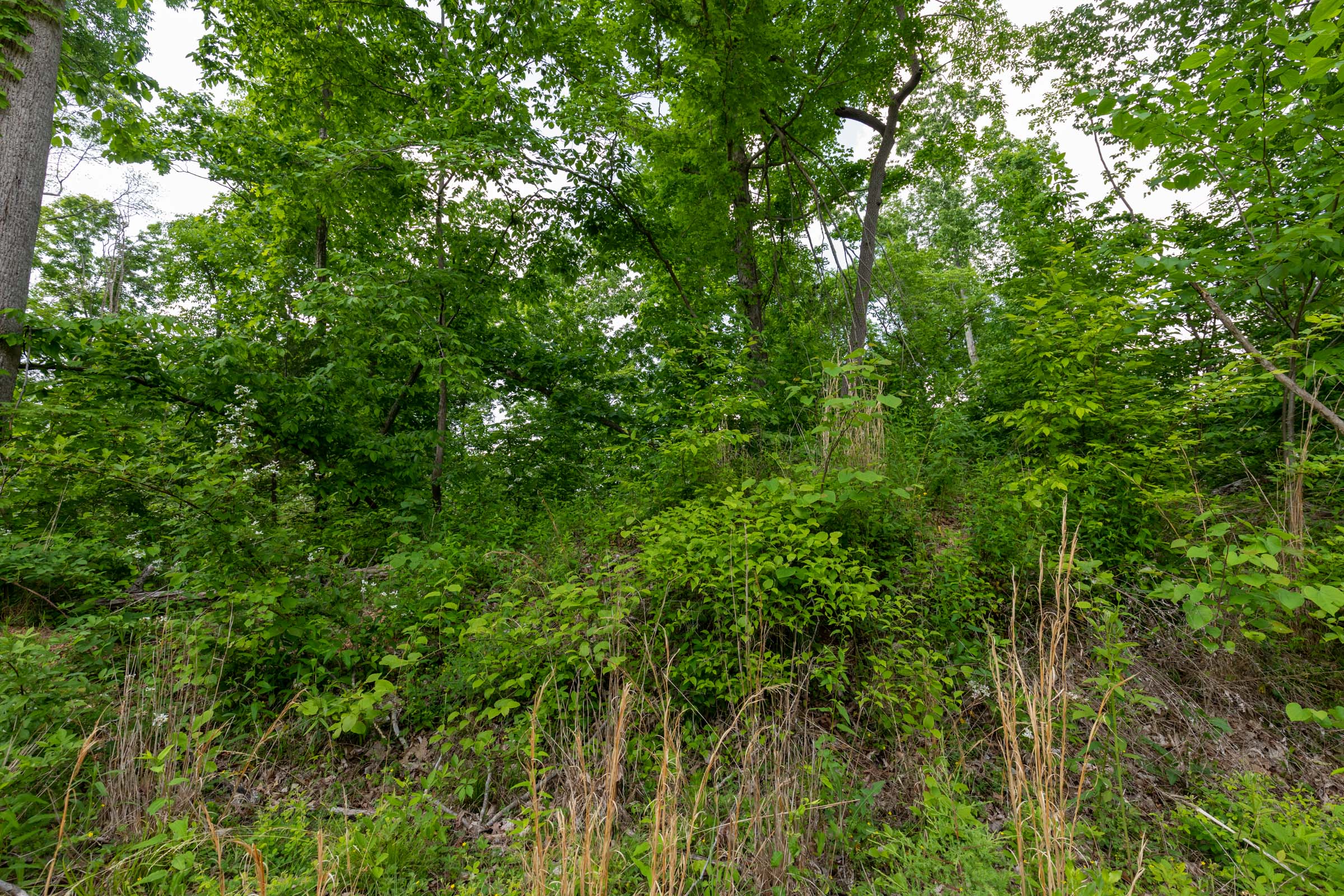 Tract 48 at Cedar Creek in Perry County, Tennessee
