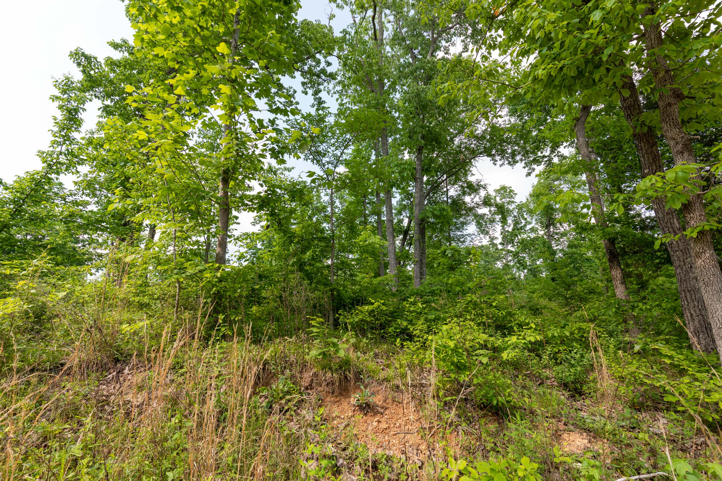 Tract 49 at Cedar Creek in Perry County, Tennessee
