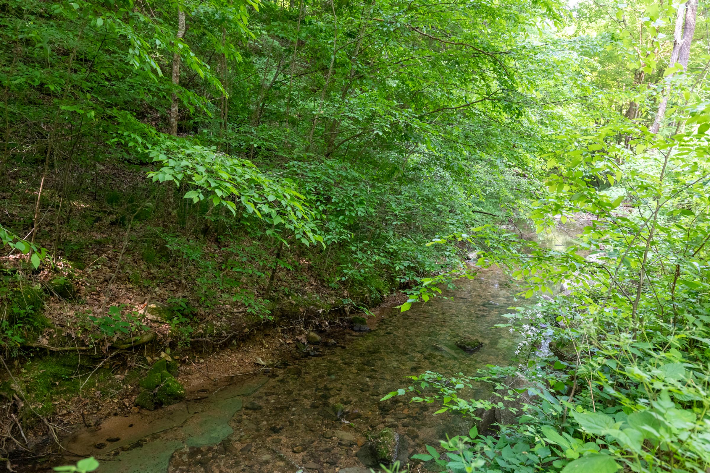 Tract 50 at Cedar Creek in Perry County, Tennessee