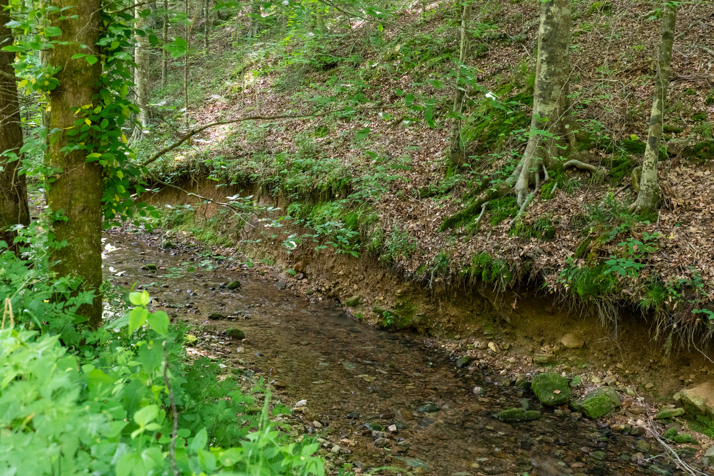 Tract 51 at Cedar Creek in Perry County, Tennessee