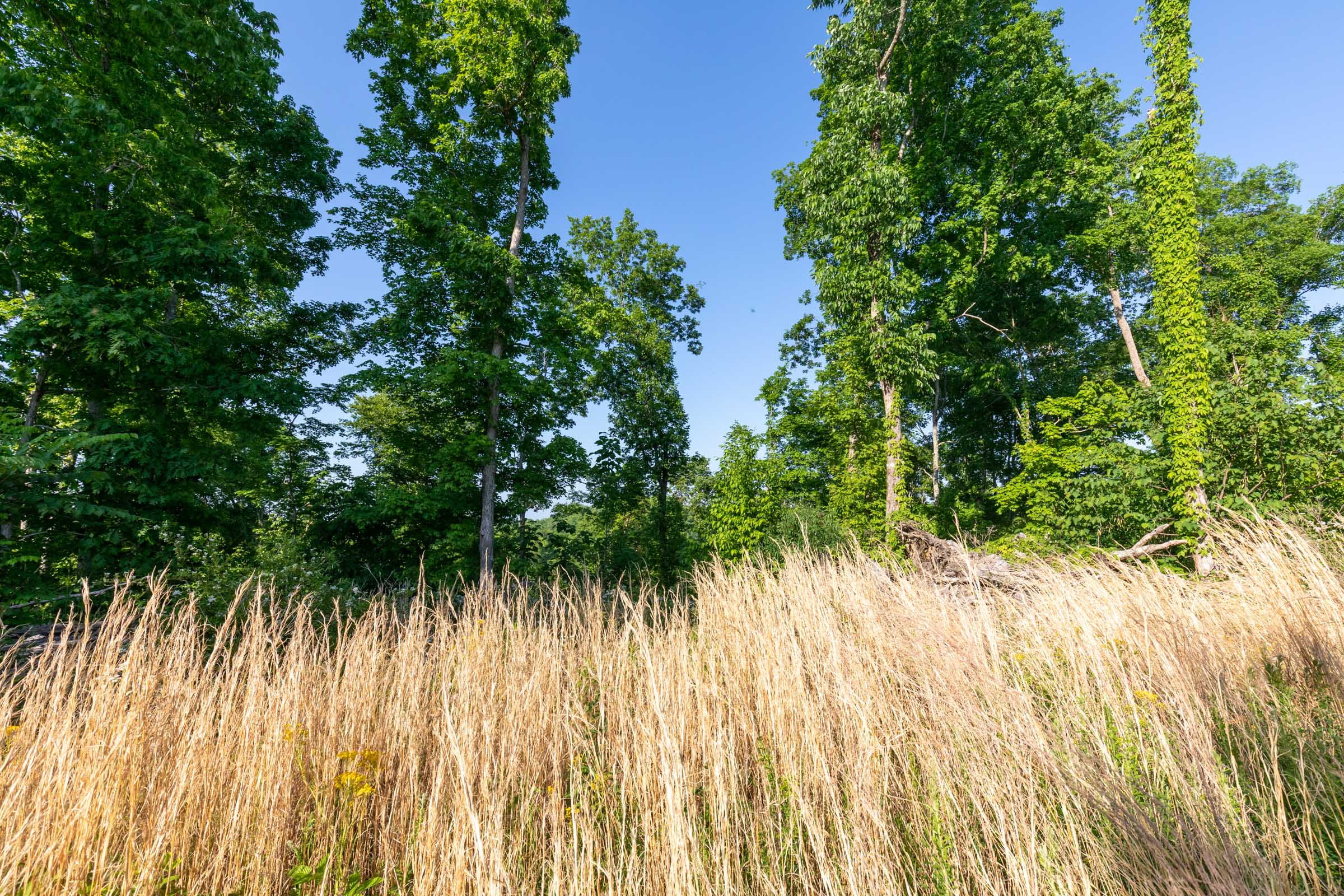 Tract 52 at Cedar Creek in Perry County, Tennessee