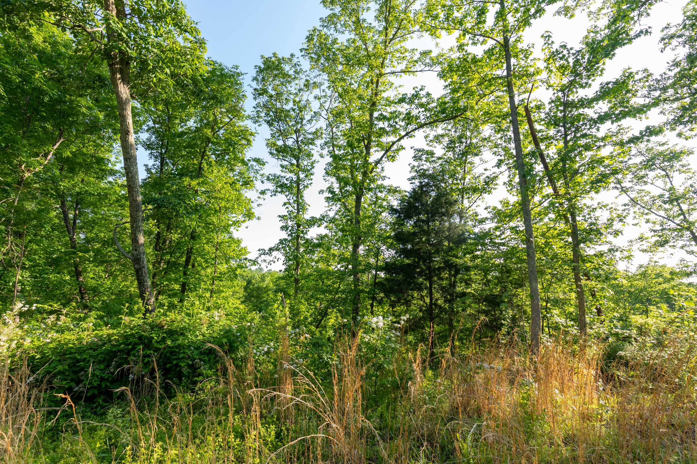Tract 55 at Cedar Creek in Perry County, Tennessee