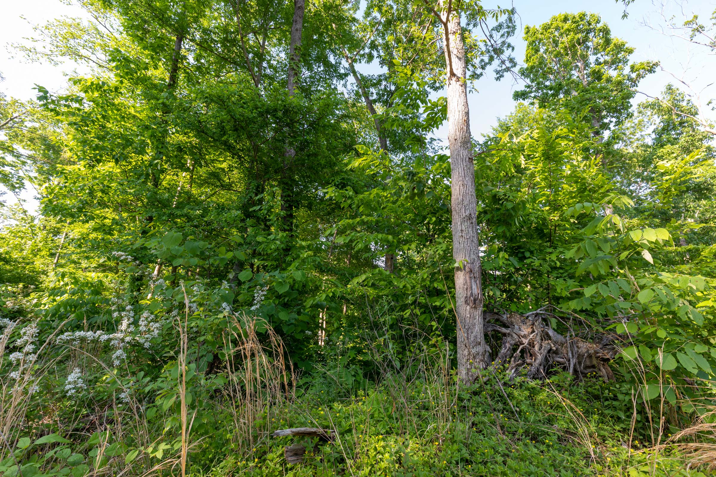 Tract 57 at Cedar Creek in Perry County, Tennessee