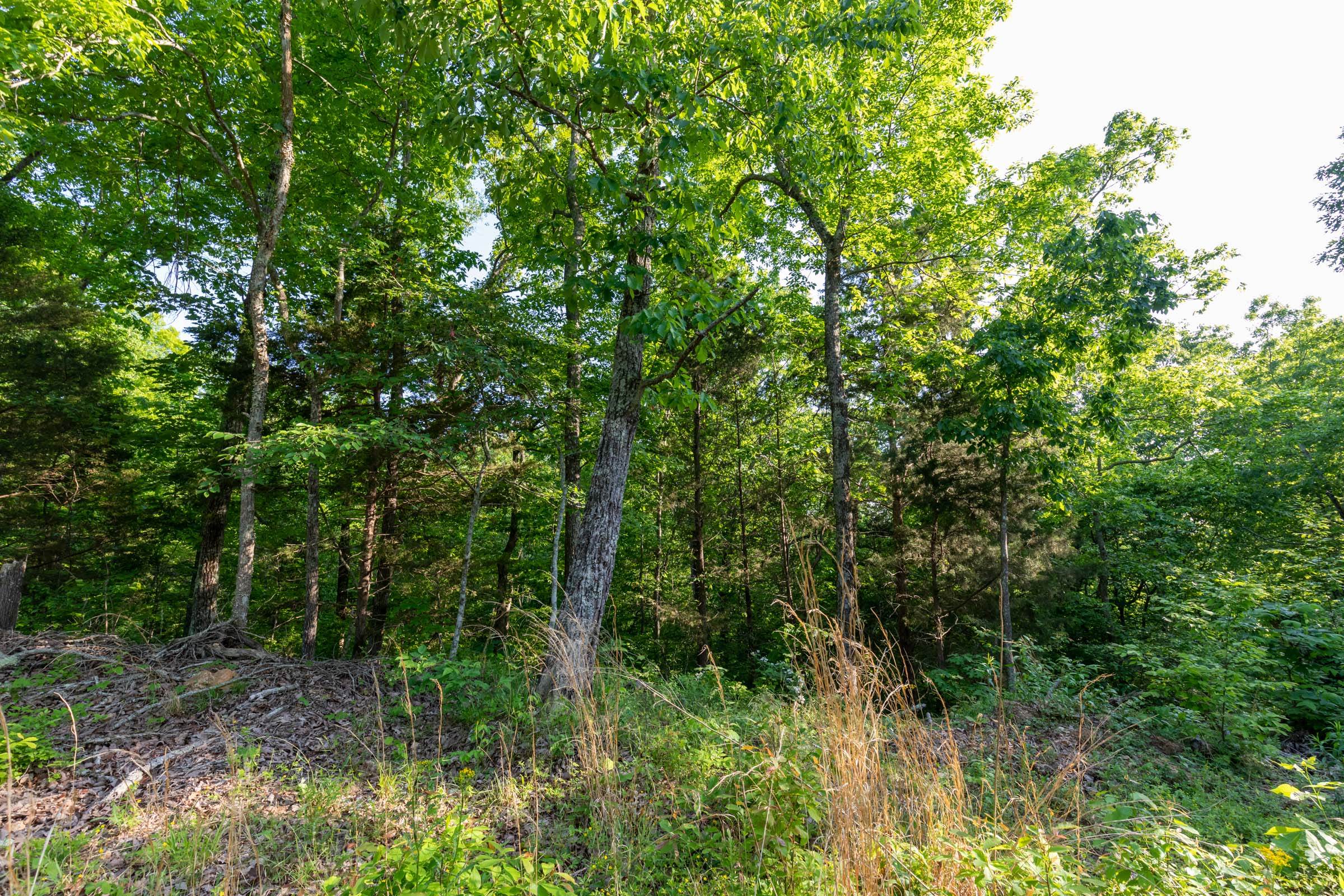 Tract 58 at Cedar Creek in Perry County, Tennessee